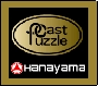 Hanayama Puzzles